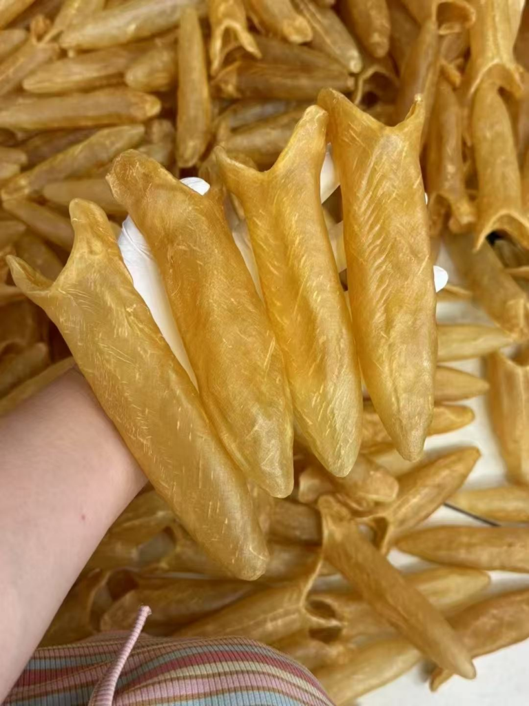 正宗野生黃花膠 老膠厚肉深海魚肚 天然無漂白無刷膠 日常滋補首選 (500g)