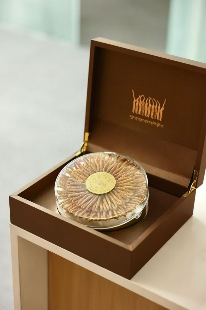 西藏那曲高海拔冬蟲夏草禮盒裝 50g 精選乾蟲草滋補禮品