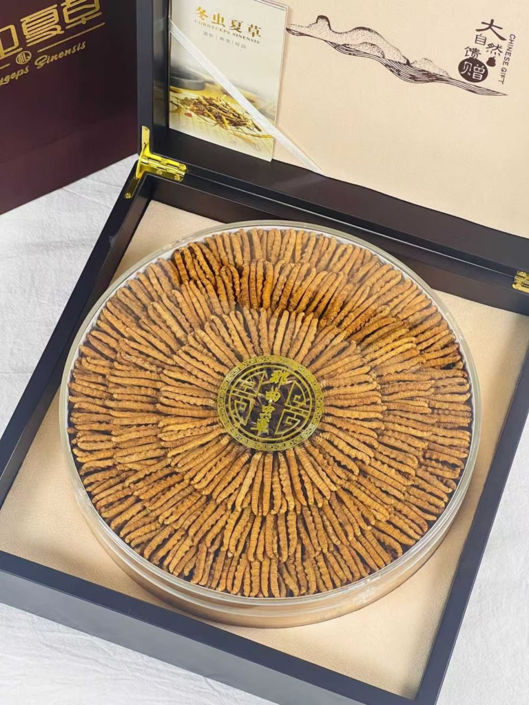 西藏那曲冬蟲夏草禮盒裝 250g 精選乾蟲草實心蟲體