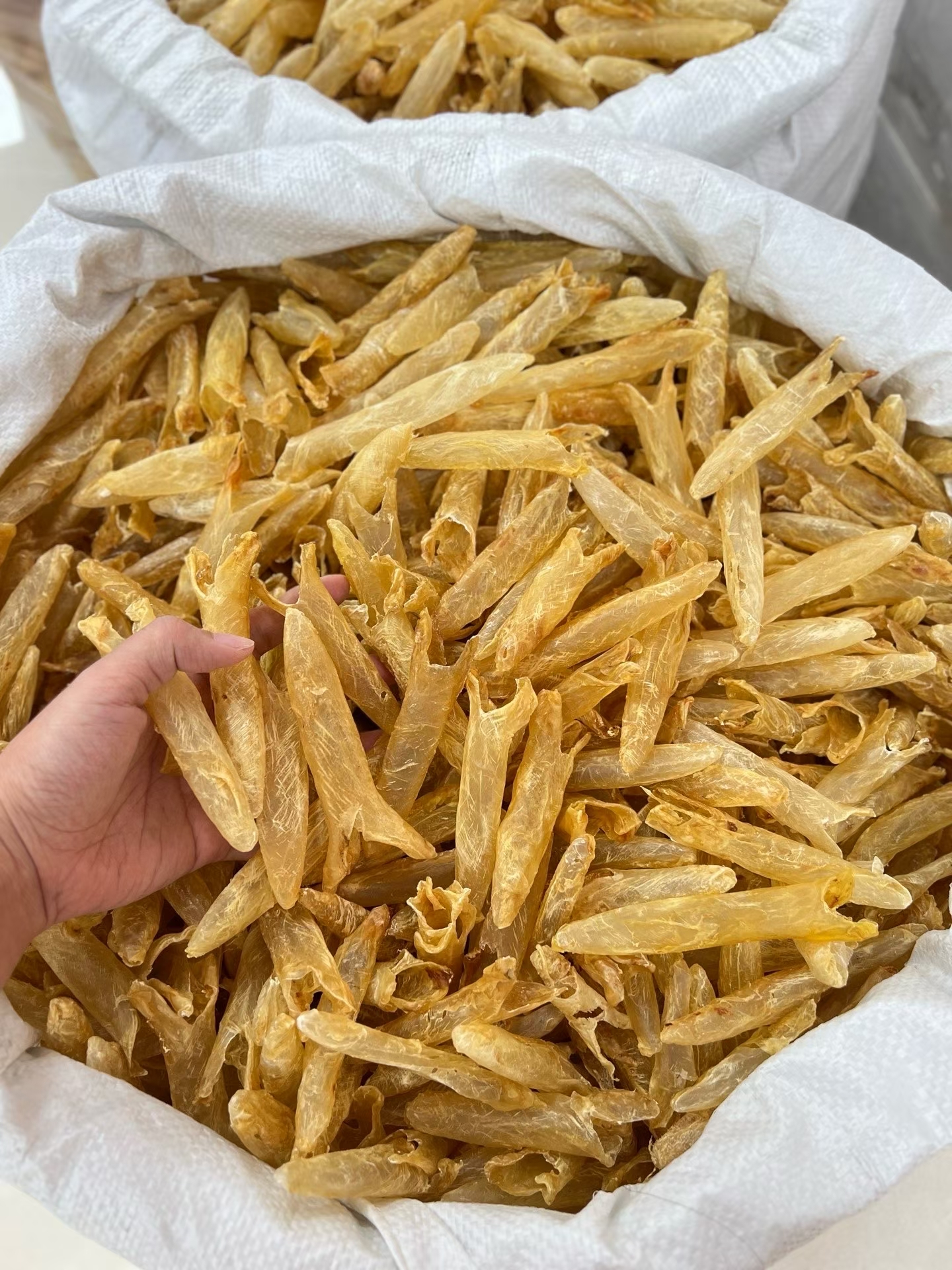 精選 200 頭小花膠筒 - Image 2