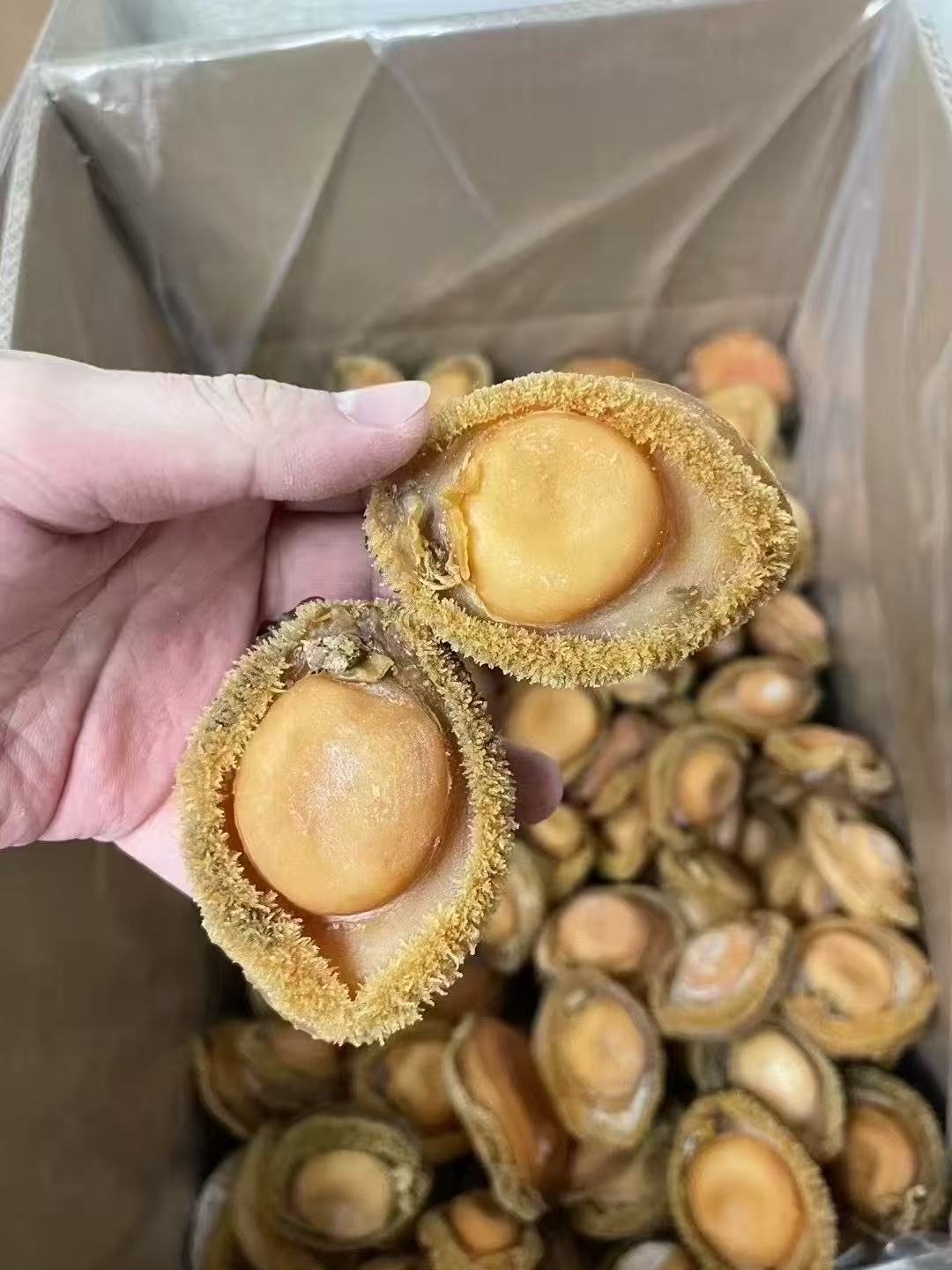 特級溏心乾鮑|2 頭規格 500 克裝 - Image 3